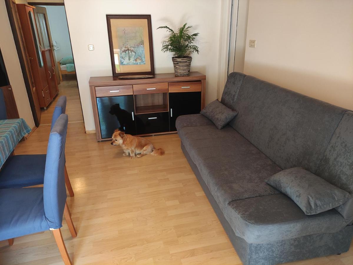Apartment Valenta Poreč Buitenkant foto